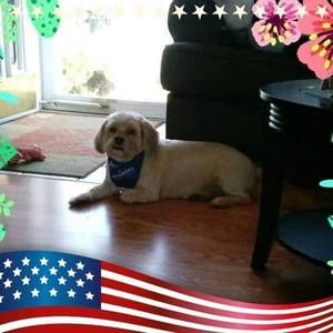 Meet your Posher, Ellen